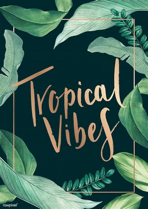 Tropical vibes - 20. Next. Show font categories. Unleash your creativity with these free, vibrant tropical fonts! Perfect for adding a tropical touch to your designs, these fonts feature exotic designs and lively colors.